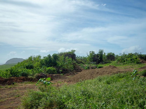 海軍南地区砲台群近くのドラム缶壕北側壕口