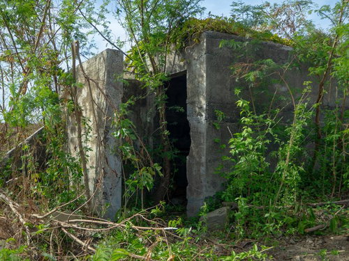 目隠しのように壁が建つコンクリート建造物