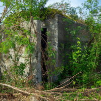 木片がバラバラと散らばるコンクリート建造物内部の写真