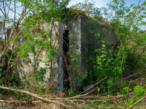 木片がバラバラと散らばるコンクリート建造物内部