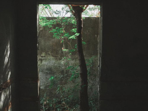 荒廃した土地に散乱するコンクリート片