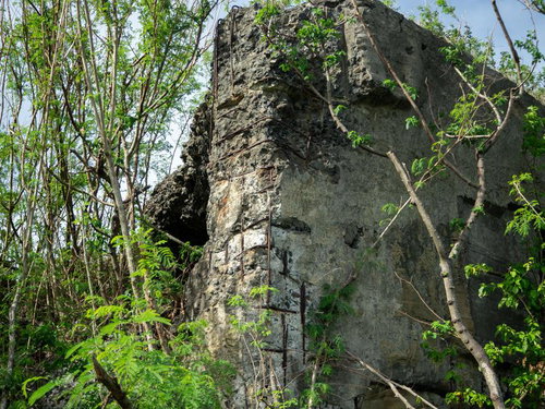 海軍南地区砲台群砲台跡の石造土台部と新緑