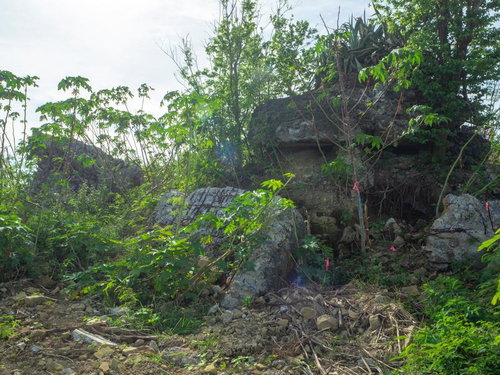 静かに残存する海軍南地区砲台群砲台跡