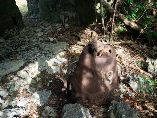 海軍南地区砲台群砲台跡内部の鉄錆びた砲座と木漏れ日