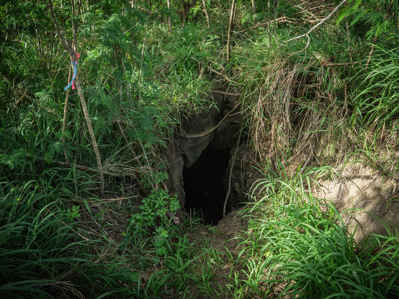 草木に覆われた硫黄島第１中隊壕東側壕口の暗い入口