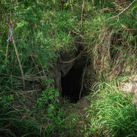 緑豊かな斜面に口を開ける第１中隊壕の東側壕口の写真