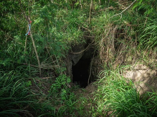 緑豊かな斜面に口を開ける第１中隊壕の東側壕口
