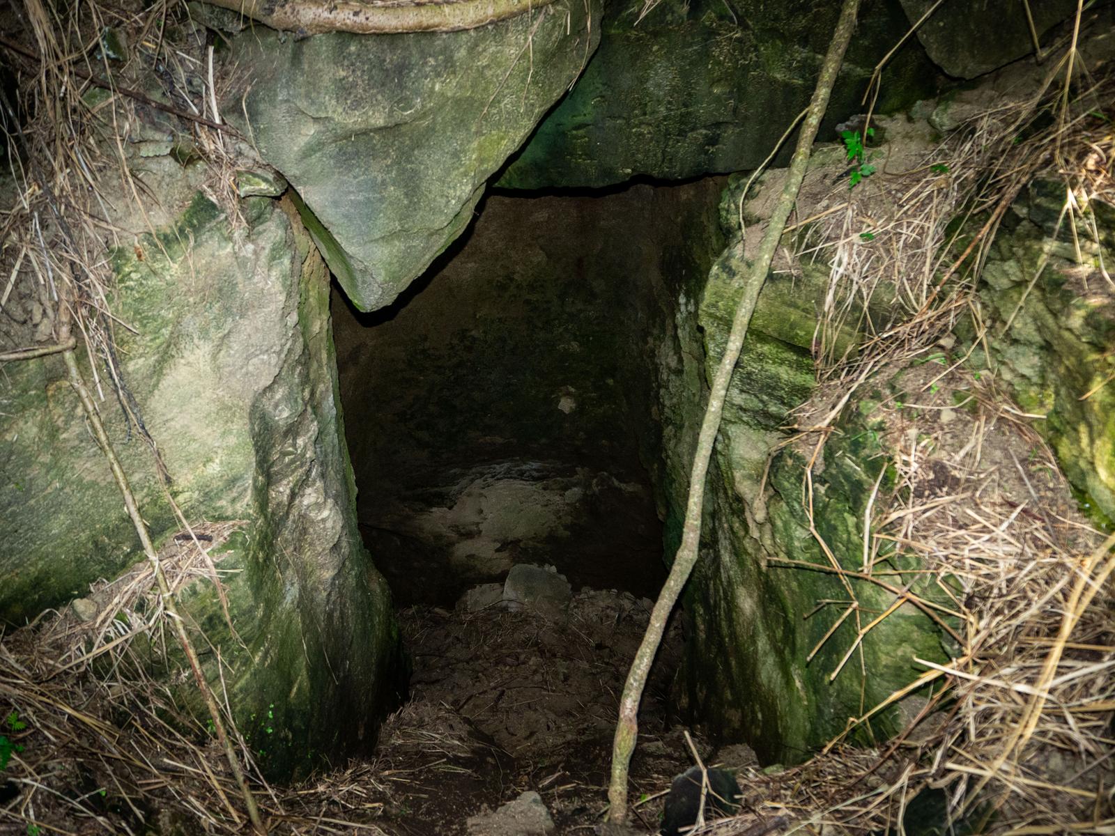苔むした石壁で囲まれた硫黄島の壕内部、枯れ草が散乱する暗い空間