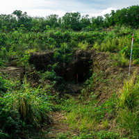 草木が生い茂る中に口を開いている第1中隊壕近くの壕口の写真