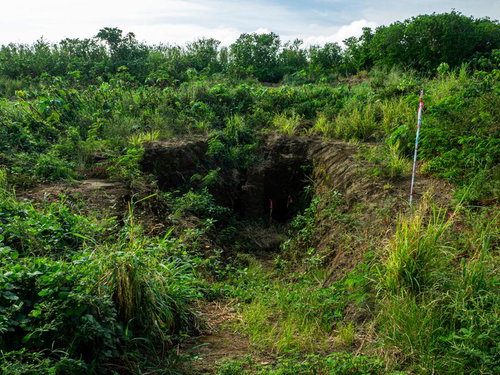 草木が生い茂る中に口を開いている第1中隊壕近くの壕口