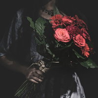 真紅の薔薇をお持ちしましたの写真