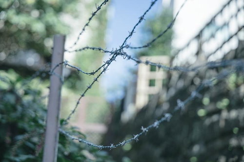 有刺鉄線の向こうに広がる静寂の風景