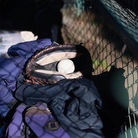 ダッグアウトベンチに置かれた紺色ユニフォームとキャッチャーミットの写真