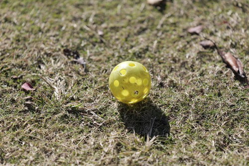 芝生の上に置かれた黄色いピックルボールと影