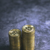 大切に保管されているビットコイン現物の写真