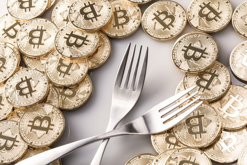 ビットコインとフォークで表すハードフォーク