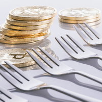 BTCハードフォーク祭、複数のフォークと金色のビットコイン風コインの写真