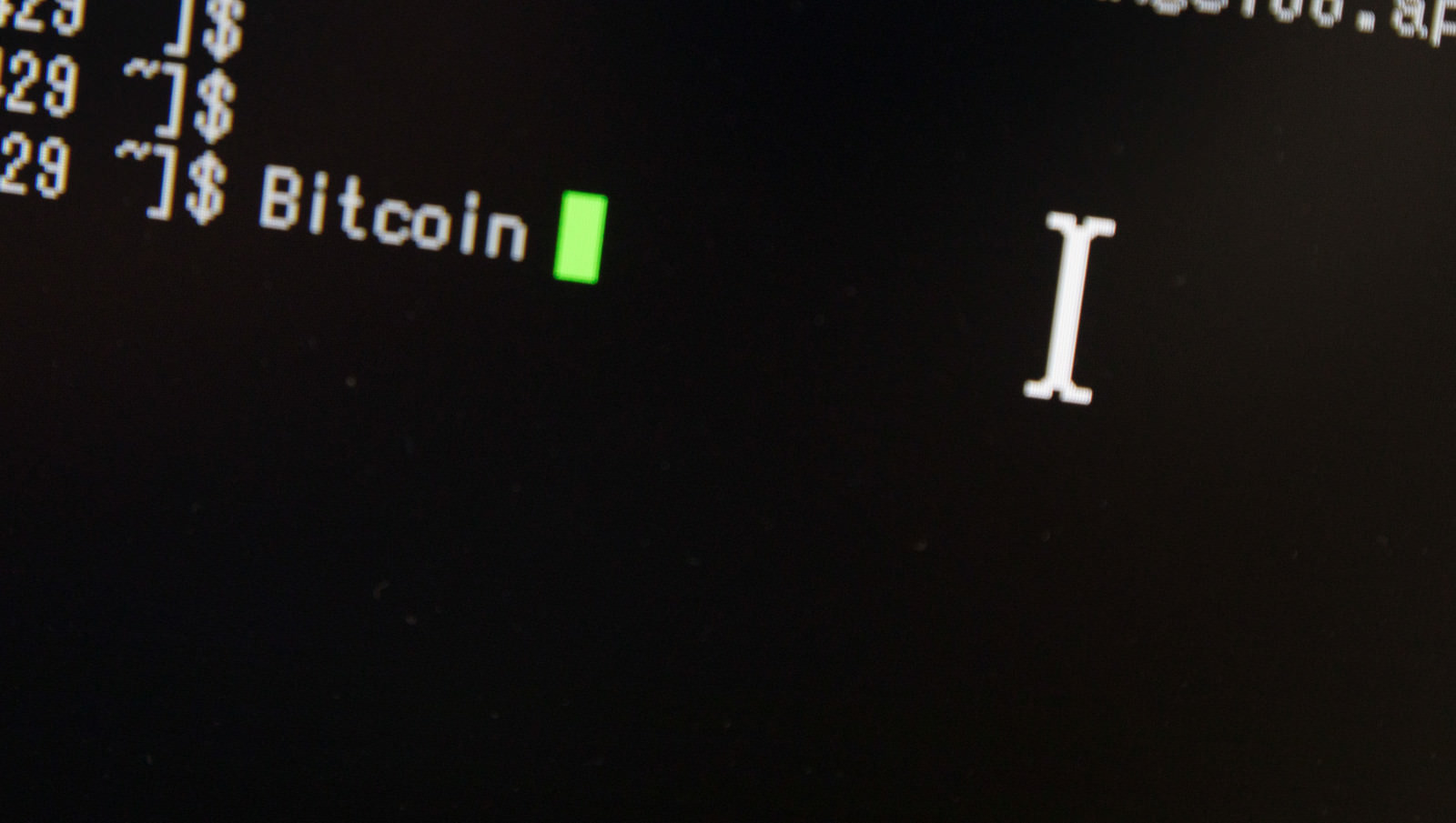 ターミナル画面にBitcoinと入力されたPC画面