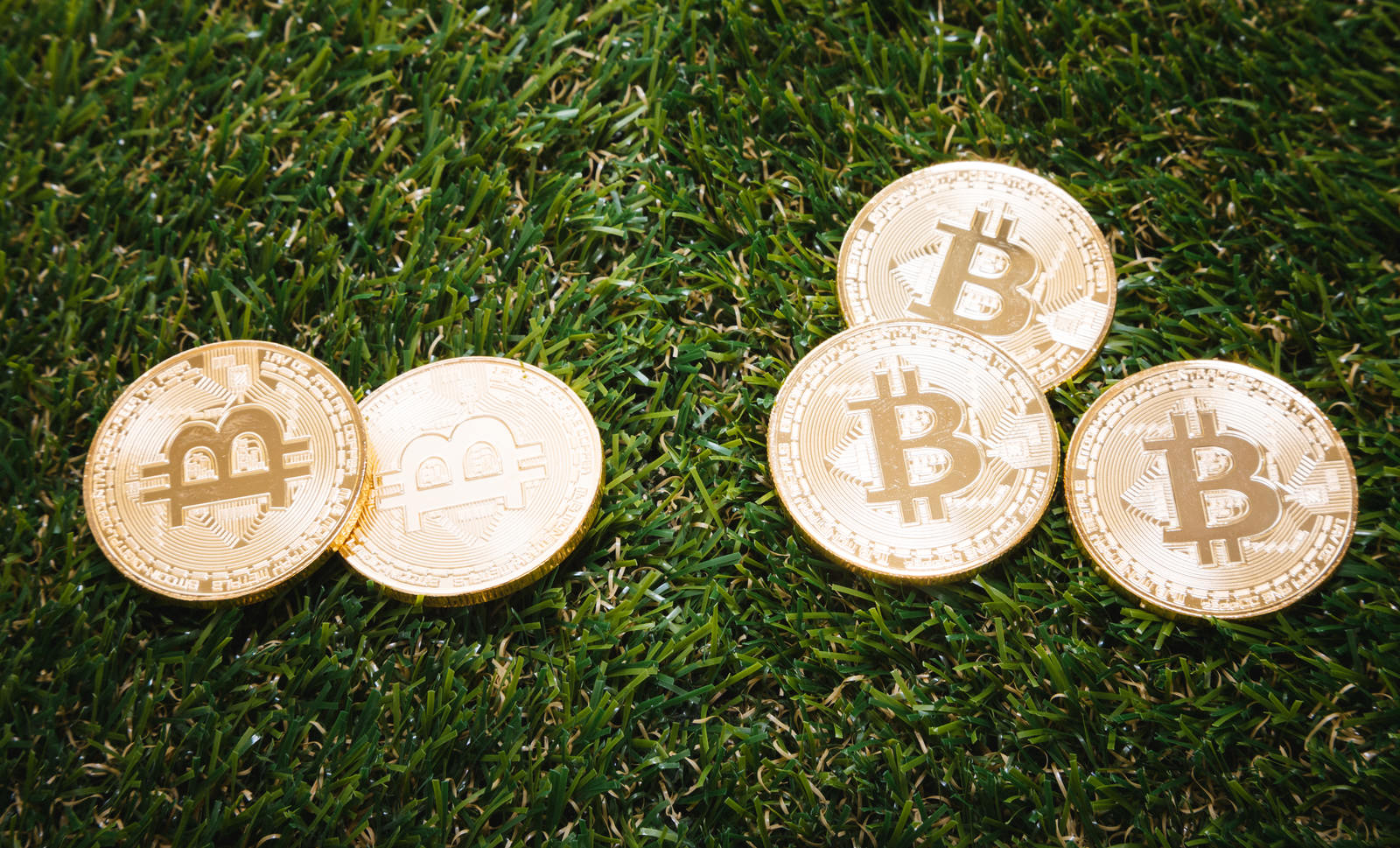 緑の芝生の上に金色のビットコインマークが刻印されたコインが4枚置かれている