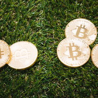 芝生の上に置かれた草コインの写真