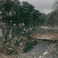 冬の池と雪景色・湖畔の降雪の写真