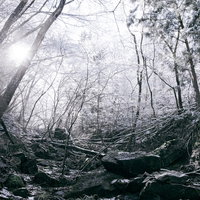 雪が降る裏山の崖の風景の写真