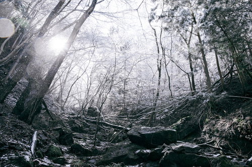 雪が降る裏山の崖の風景