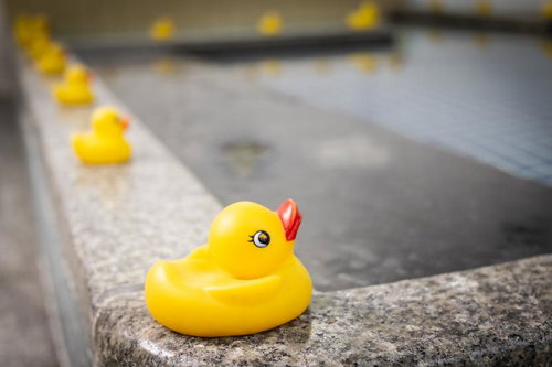 浴槽の縁に並ぶアヒルのおもちゃ