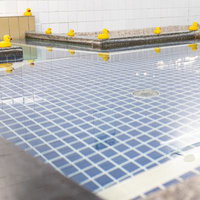 銭湯の浴槽に並ぶアヒルの写真