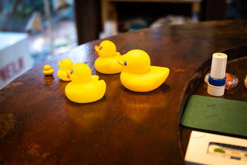 カウンターに並ぶアヒルの置物