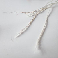 ほつれたパラコードの破断と繊維露出した白いロープの写真