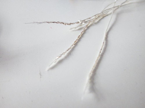 ほつれたパラコードの破断と繊維露出した白いロープ