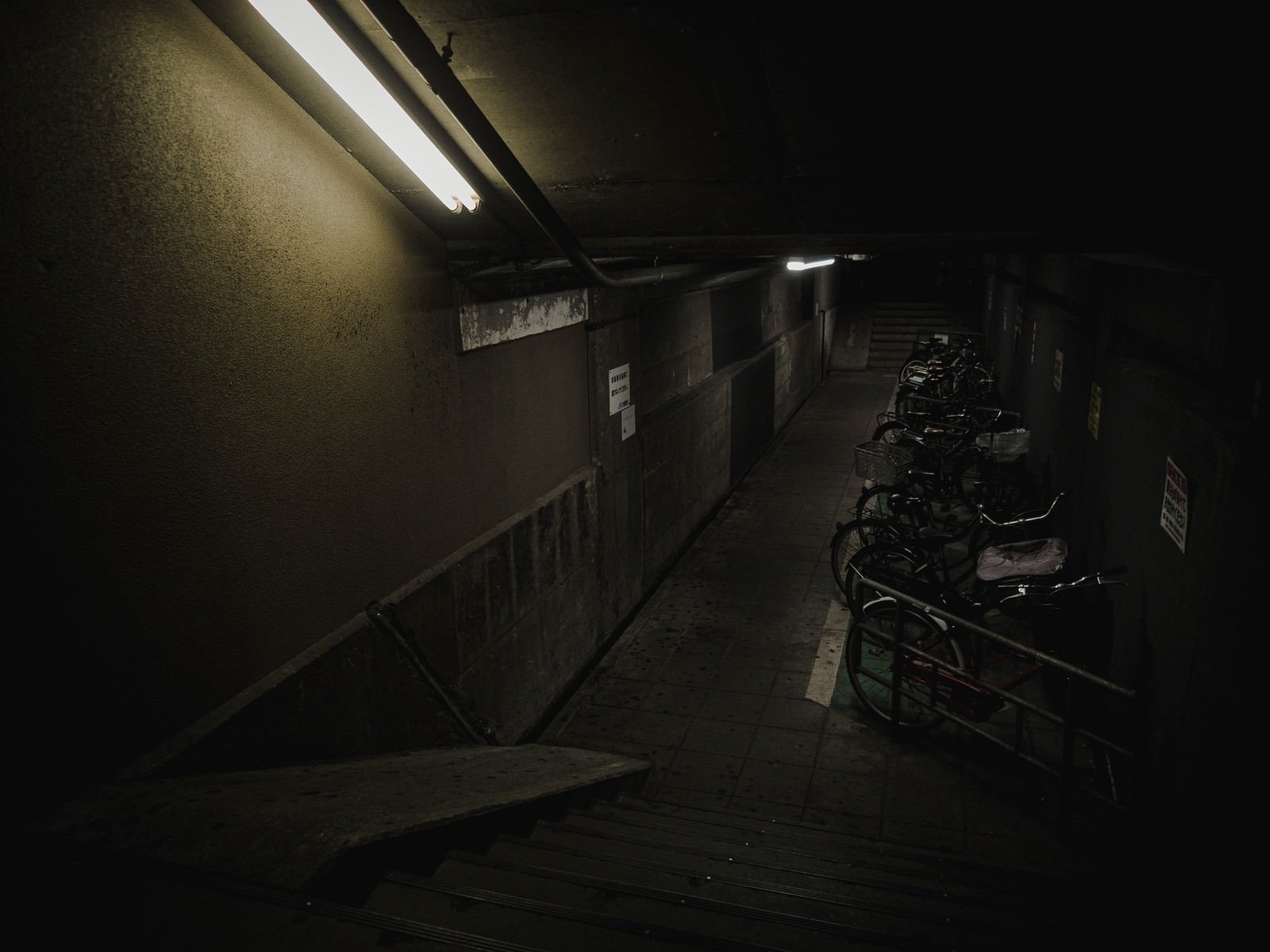 薄暗い照明の地下駐輪場に自転車が並んでいる不気味な雰囲気