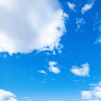 雲浮かぶ青空を飛び交う鳥たちの写真