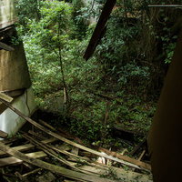 朽ち果てた廃墟の隙間から覗く雑木林と老朽化した建物の写真