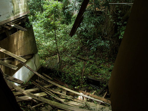 朽ち果てた廃墟の隙間から覗く雑木林と老朽化した建物