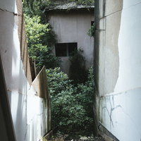 白い壁が大きく剥がれて危険な老朽化した階段を降るの写真