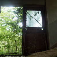 ツタが絡みつく廃墟の壊れた古い木製扉と劣化した壁の写真