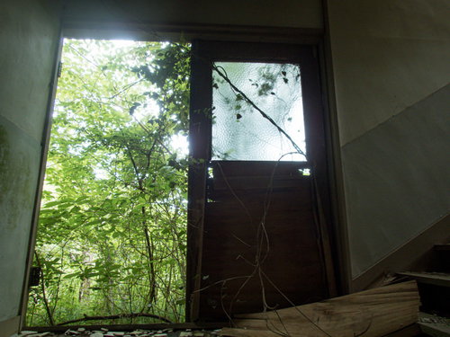 ツタが絡みつく廃墟の壊れた古い木製扉と劣化した壁