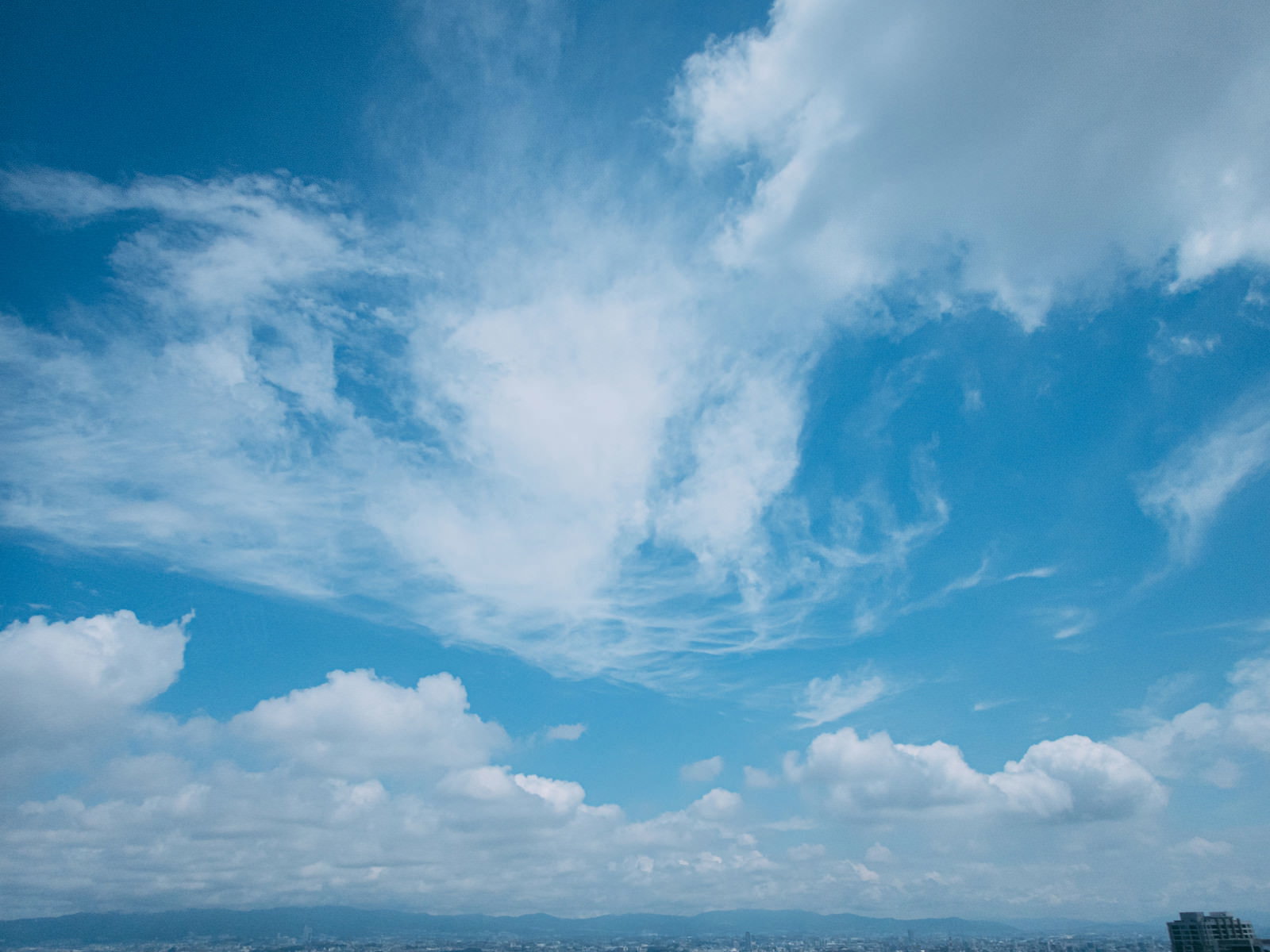 青空にいろいろな形の雲が広がる