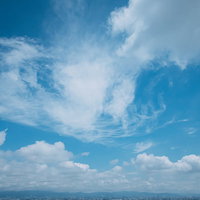 上空に広がるいろいろな形の雲の写真