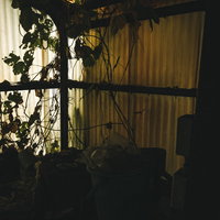 透けた波板から光が差し込む廃墟の工場跡の内部風景の写真