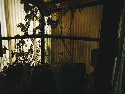 透けた波板から光が差し込む廃墟の工場跡の内部風景