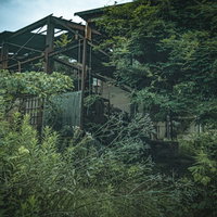 森の中の粘土工場跡地（廃墟）の写真