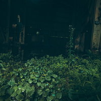 薄暗い粘土工場跡の廃墟に生える植物と荒廃した空間の写真