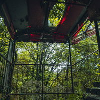 天井が破れて植物が見える不気味な廃墟の階段の写真