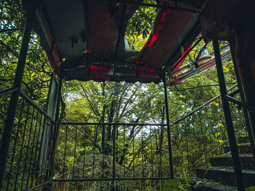 天井が破れて植物が見える不気味な廃墟の階段