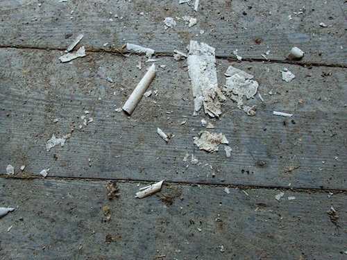 土足で踏みつぶされた白い物体と床に散らばる破片