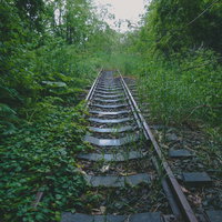 草に覆われた廃線の線路の写真