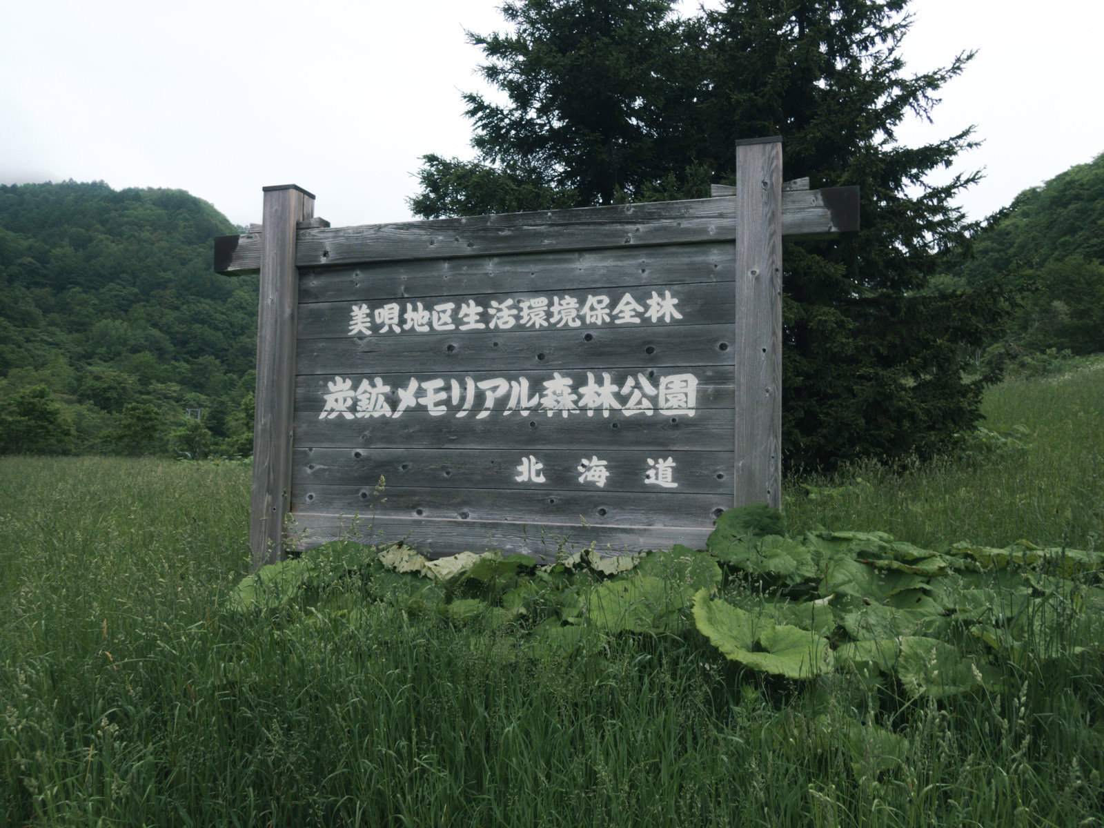 炭鉱メモリアル森林公園と書かれた木製の看板